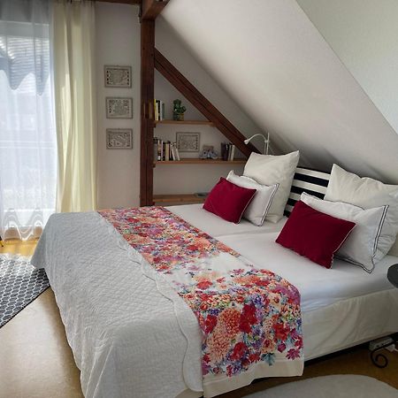 Am Apfelbaum, Ein Ferienhaus Zwischen Rhein Und Mosel Кастелаун Екстериор снимка