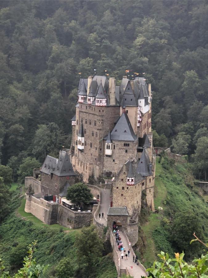 Am Apfelbaum, Ein Ferienhaus Zwischen Rhein Und Mosel Кастелаун Екстериор снимка