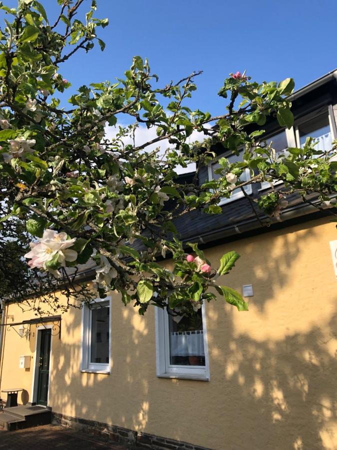 Am Apfelbaum, Ein Ferienhaus Zwischen Rhein Und Mosel Кастелаун Екстериор снимка