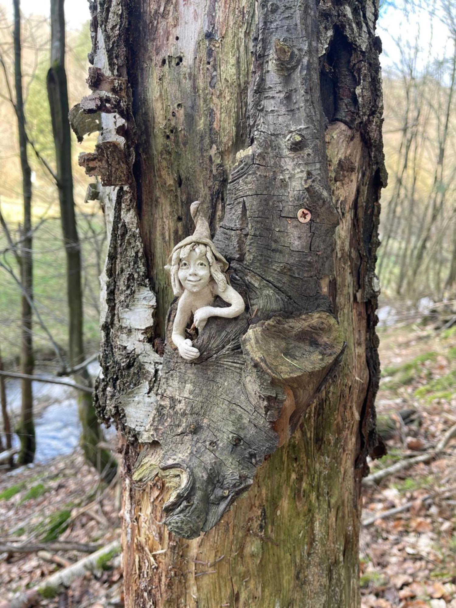 Am Apfelbaum, Ein Ferienhaus Zwischen Rhein Und Mosel Кастелаун Екстериор снимка