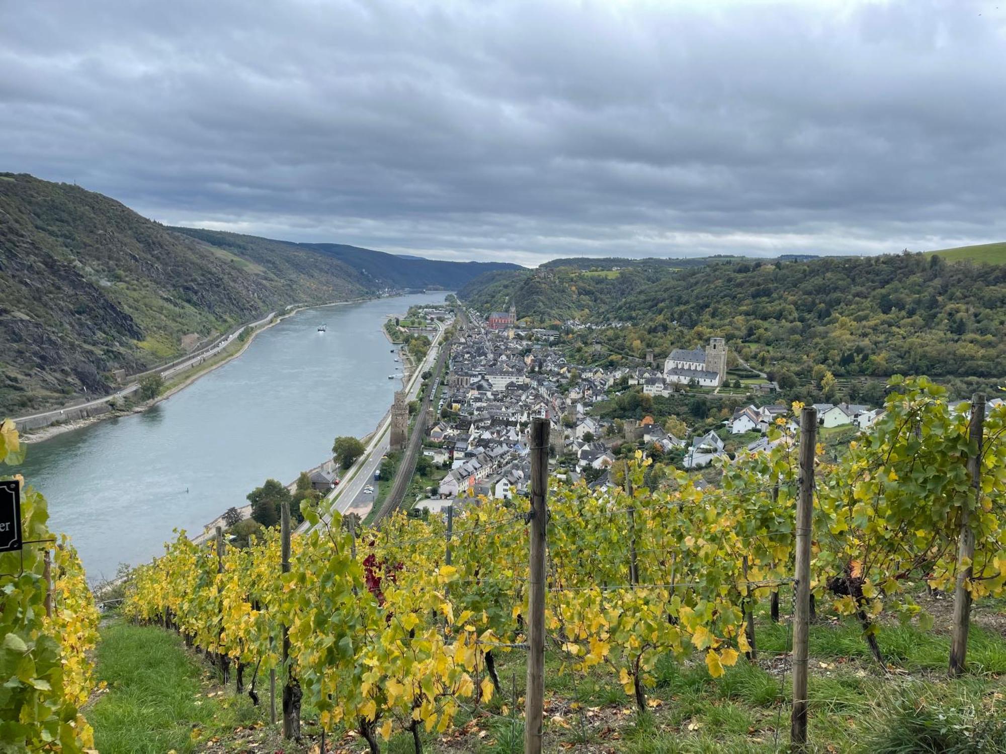 Am Apfelbaum, Ein Ferienhaus Zwischen Rhein Und Mosel Кастелаун Екстериор снимка