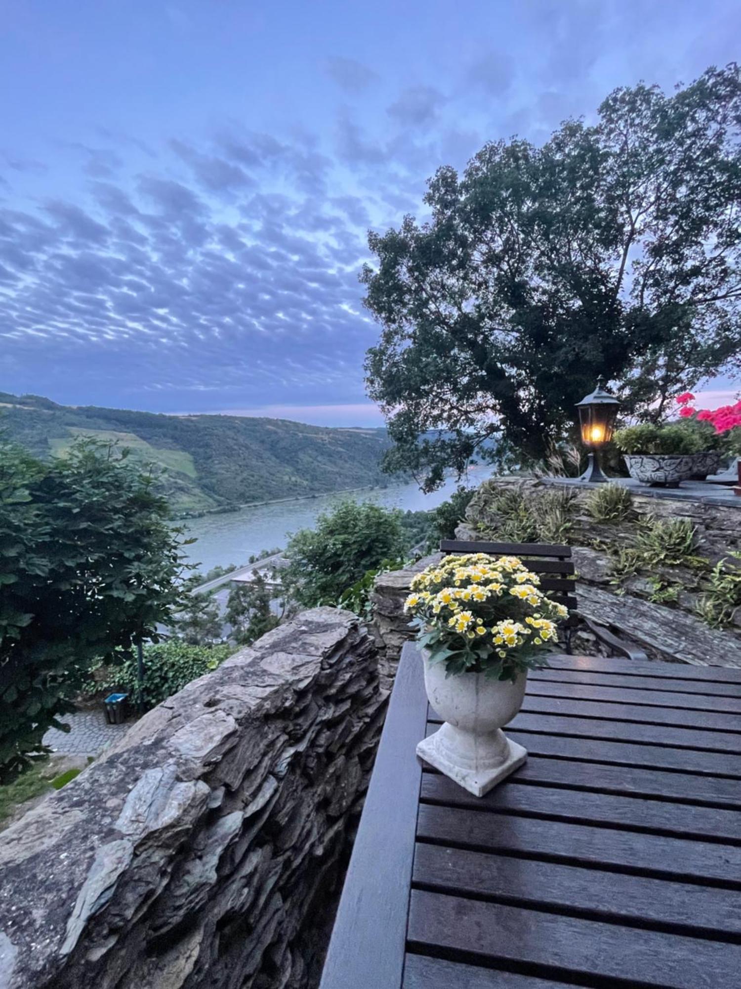 Am Apfelbaum, Ein Ferienhaus Zwischen Rhein Und Mosel Кастелаун Екстериор снимка